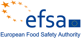 Efsa - PT Leo Jaya Konstruksi Indonesia